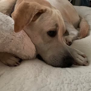 Meet your Posher, Vanessia